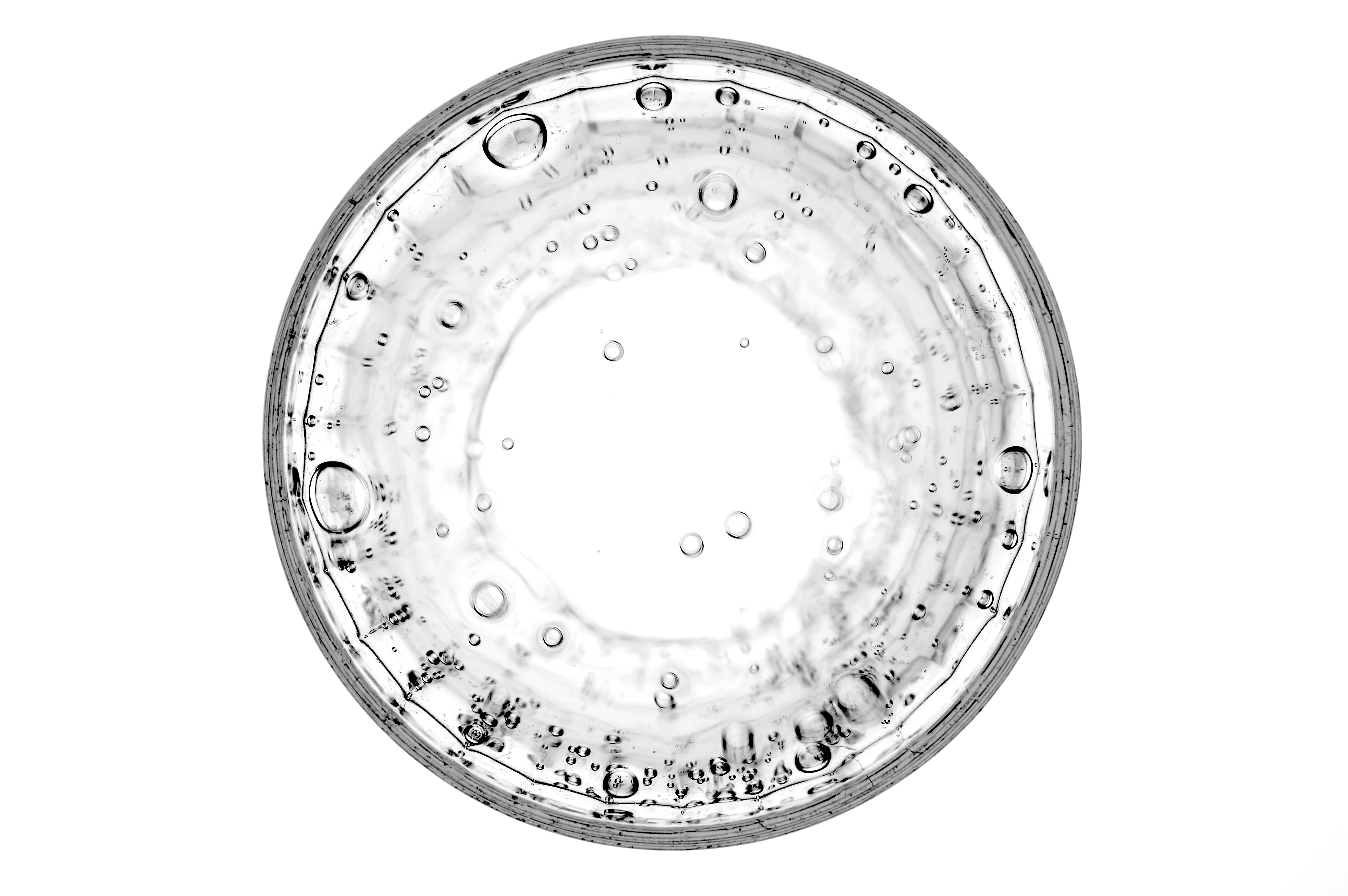 Nahaufnahme einer Petrischale auf weißem Grund