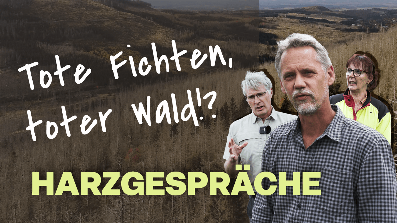 Thumbnail Harzgespräche